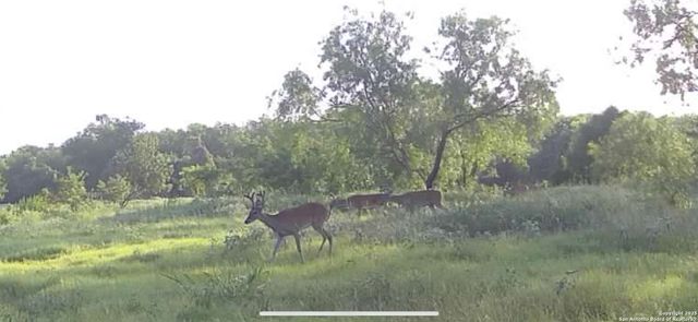 3141 Zion Hill, Seguin, TX 78155