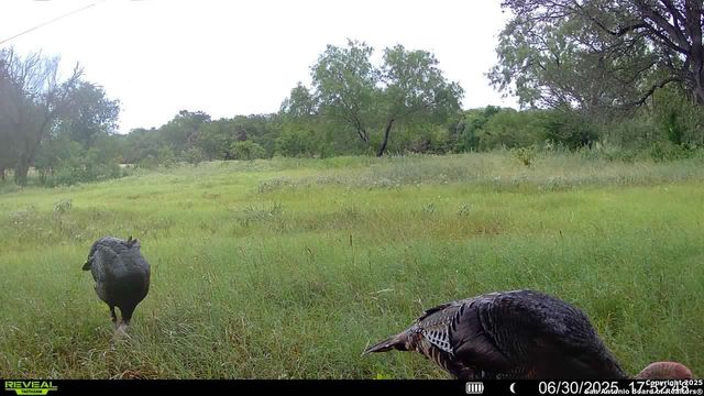 3141 Zion Hill, Seguin, TX 78155
