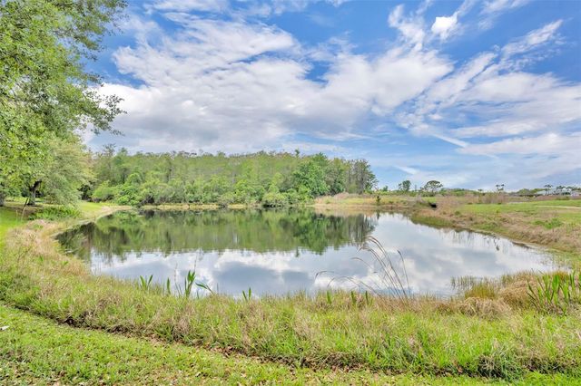 1656 ANNA CATHERINE DRIVE, Orlando, FL 32828