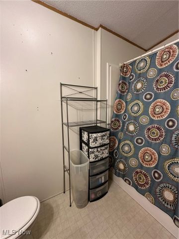 60 Flamingo Avenue, Amherst, OH 44001