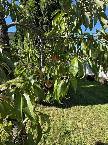 60 Flamingo Avenue, Amherst, OH 44001