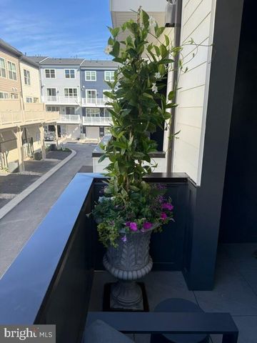 14936 DISPATCH ST, Rockville, MD 20850