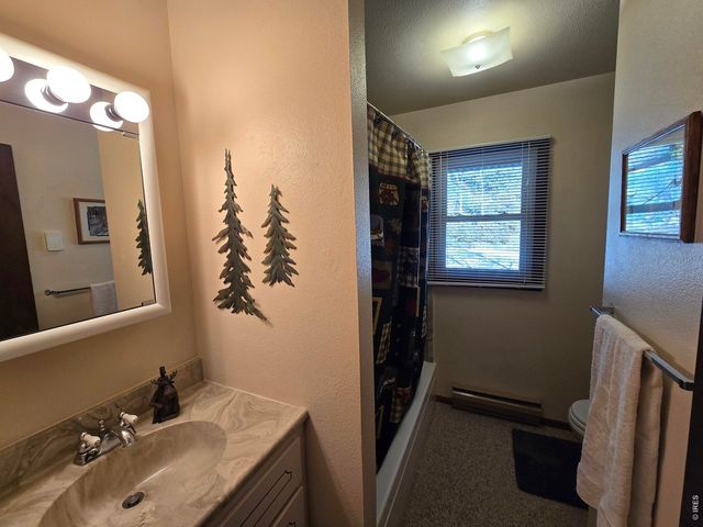660 Jicarilla Trl, Red Feather Lakes, CO 80545