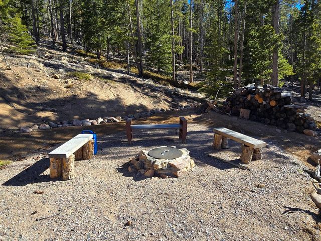 660 Jicarilla Trl, Red Feather Lakes, CO 80545