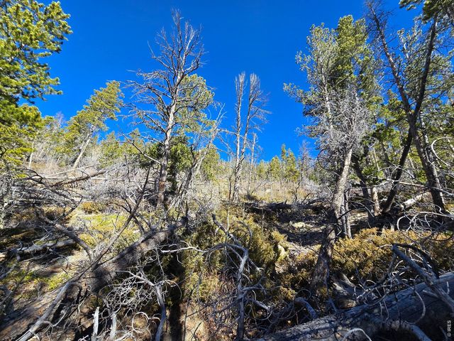 660 Jicarilla Trl, Red Feather Lakes, CO 80545