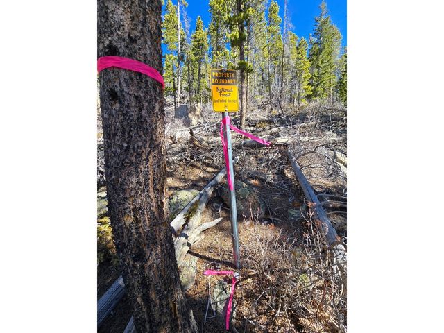 660 Jicarilla Trl, Red Feather Lakes, CO 80545