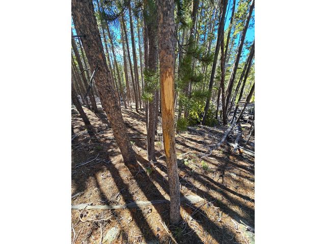 660 Jicarilla Trl, Red Feather Lakes, CO 80545