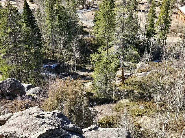 660 Jicarilla Trl, Red Feather Lakes, CO 80545