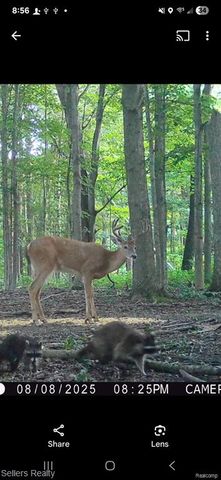 5346 N Oak Road, Davison, MI 48423