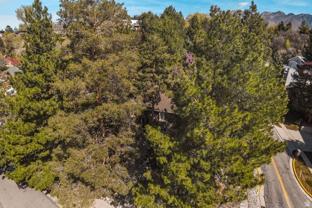 2555 E CHALET RD, Cottonwood Heights, UT 84093