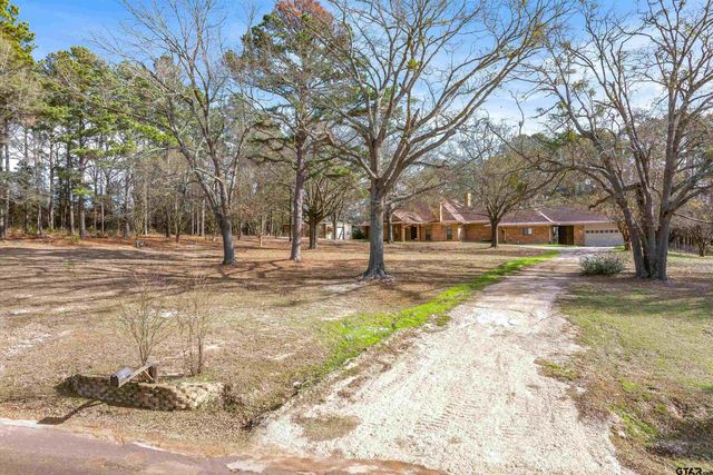 12098 Squirrel RD, Pittsburg, TX 75686