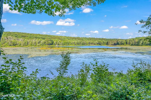 L11.11 Rossman Valley Road, Summit, NY 12175