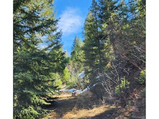 10151 Coronado Cir, Morrison, CO 80465