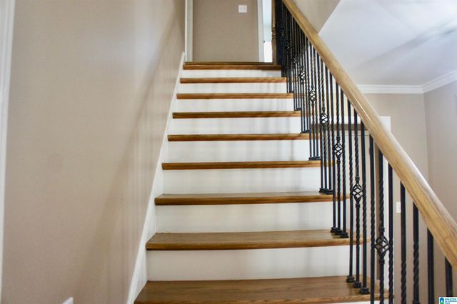 3549 WILLIAM AND MARY ROAD, Hoover, AL 35216