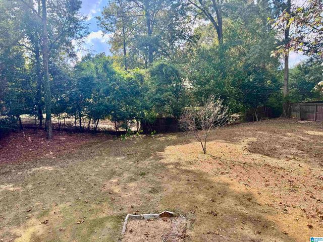 3549 WILLIAM AND MARY ROAD, Hoover, AL 35216