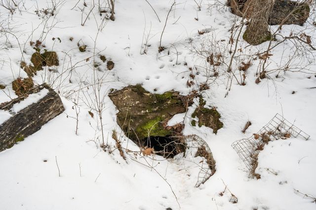 79 Mulberry Drive, Galena, MO 65656