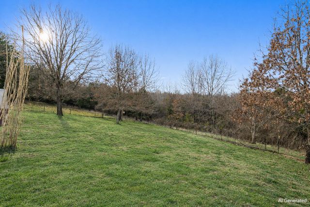 79 Mulberry Drive, Galena, MO 65656