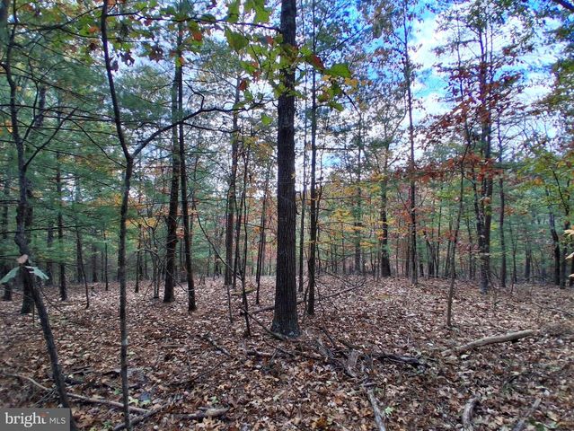 412 HIDEAWAY LN, Berkeley Springs, WV 25411