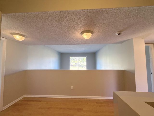 13516 PALMWOOD LANE, Tampa, FL 33618