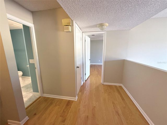 13516 PALMWOOD LANE, Tampa, FL 33618