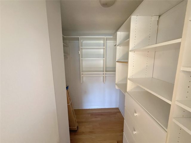 13516 PALMWOOD LANE, Tampa, FL 33618