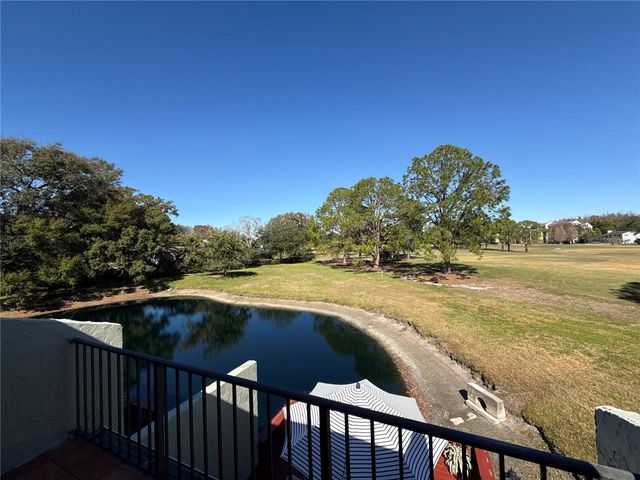 13516 PALMWOOD LANE, Tampa, FL 33618