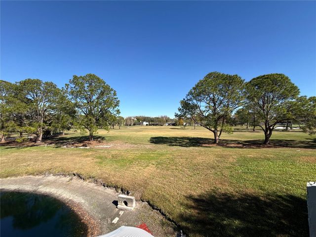 13516 PALMWOOD LANE, Tampa, FL 33618