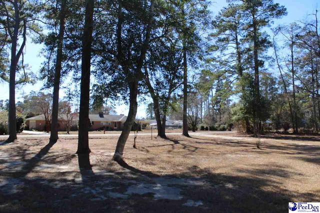 309 E Reaves Ave, Dillon, SC 29536