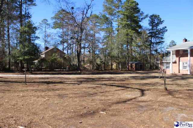 309 E Reaves Ave, Dillon, SC 29536