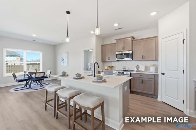 221 Jerrie Lynn Boulevard, Meridianville, AL 35759