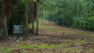 TBD C R 354, Winona, TX 75792