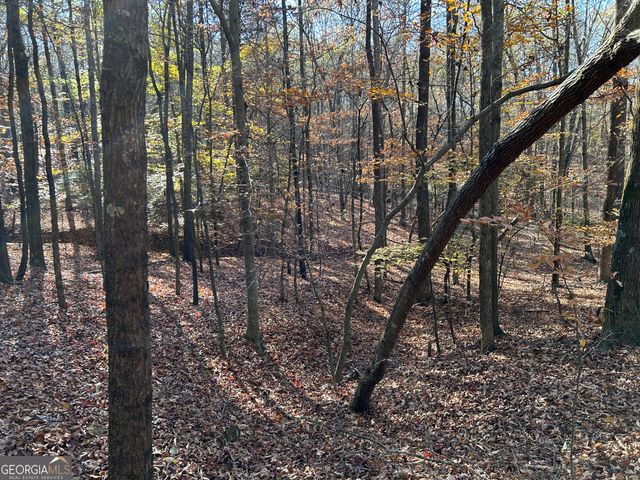 0 Dove Hill Road, Royston, GA 30662