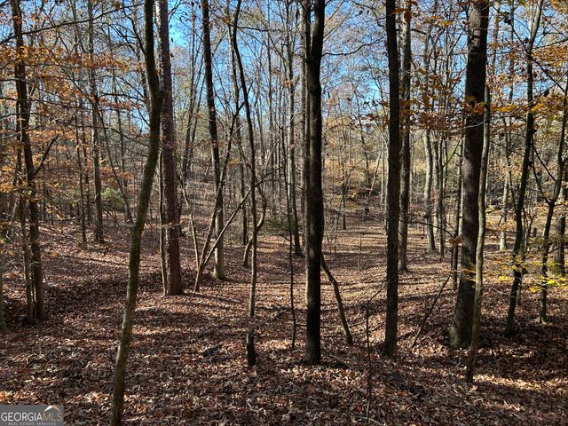 0 Dove Hill Road, Royston, GA 30662