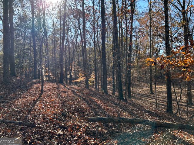 0 Dove Hill Road, Royston, GA 30662
