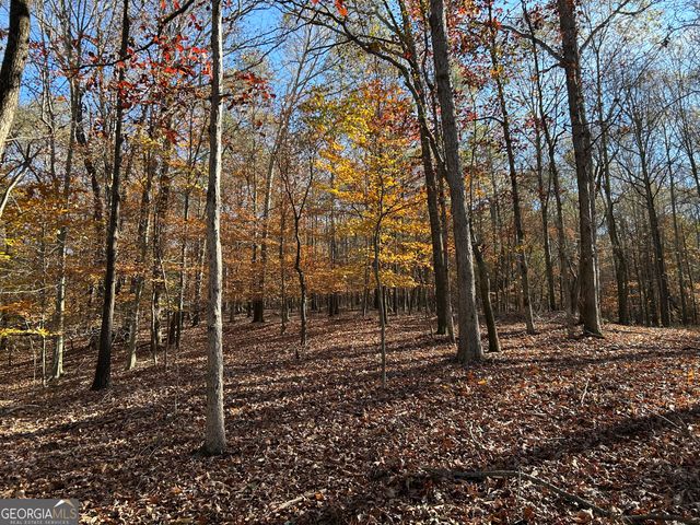 0 Dove Hill Road, Royston, GA 30662