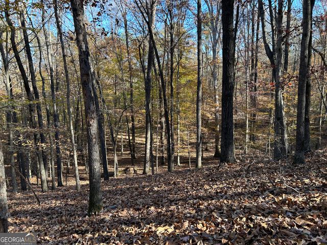 0 Dove Hill Road, Royston, GA 30662