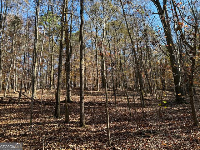 0 Dove Hill Road, Royston, GA 30662