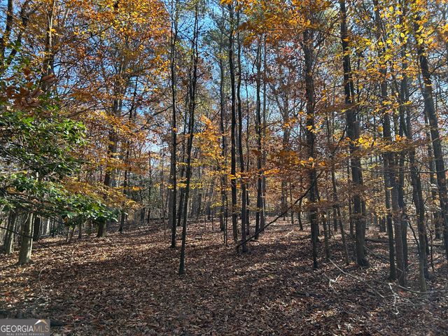 0 Dove Hill Road, Royston, GA 30662