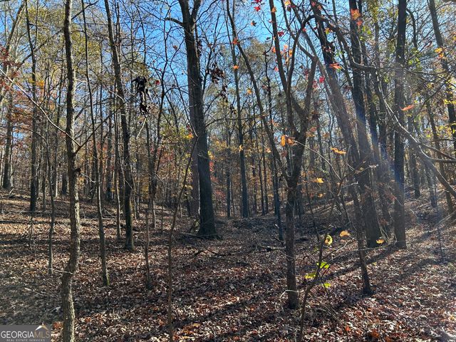 0 Dove Hill Road, Royston, GA 30662