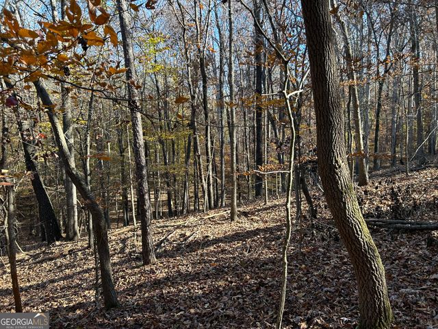 0 Dove Hill Road, Royston, GA 30662