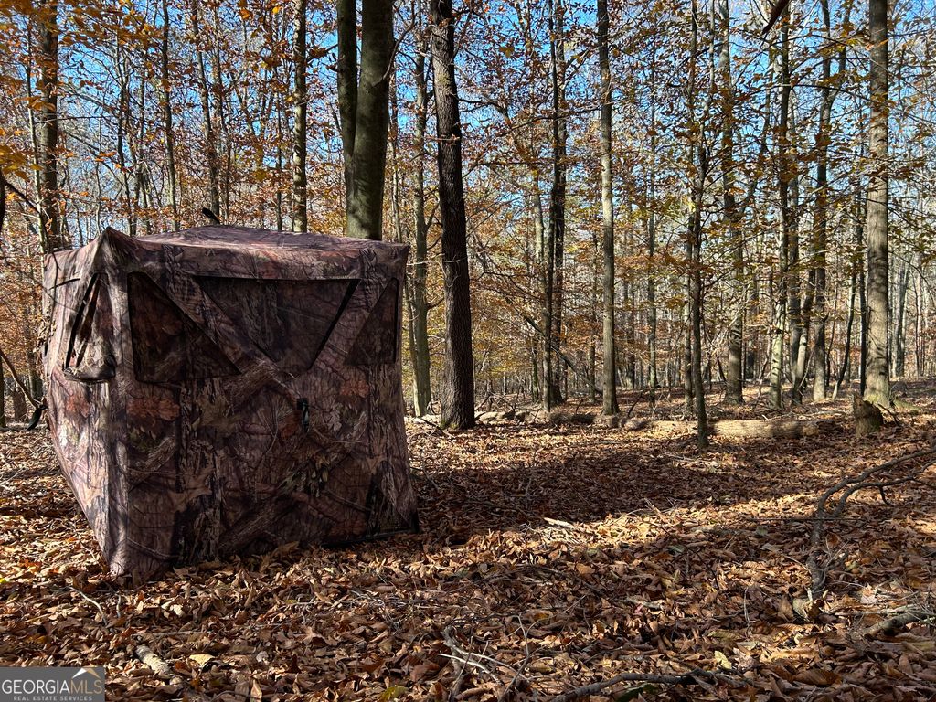 0 Dove Hill Road, Royston, GA 30662 — photo 2