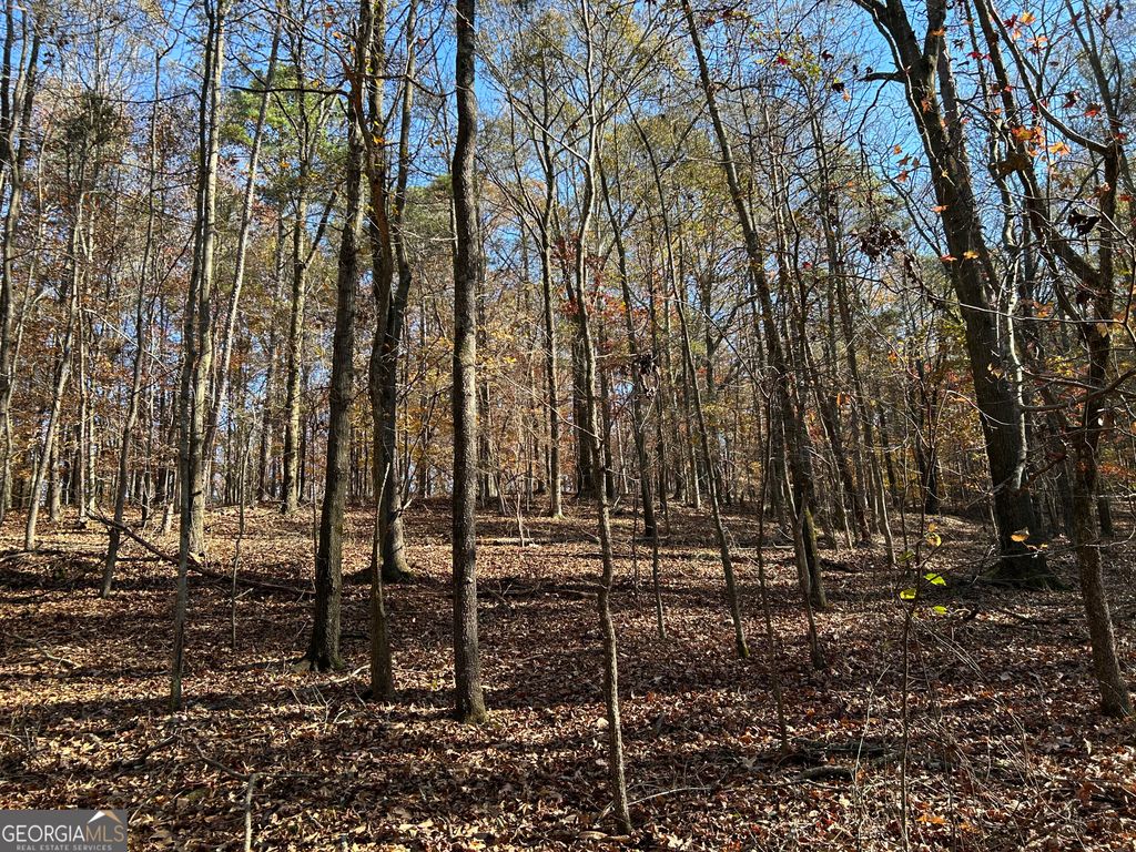 0 Dove Hill Road, Royston, GA 30662 — photo 5