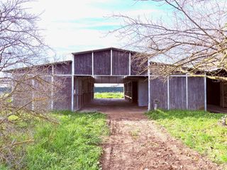 35570 Avenue 14 1/2, Madera, CA 93636