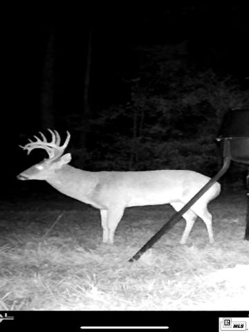 364 RANCHETTE ROAD, Monroe, LA 71203