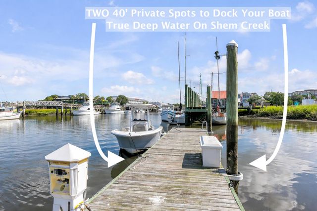 228 Haddrell Street, Mount Pleasant, SC 29464