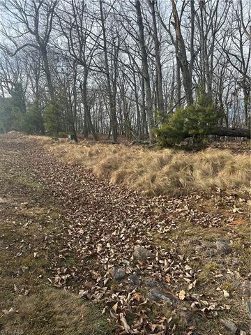 1527 Sierra Trace Road, Denton, NC 27239