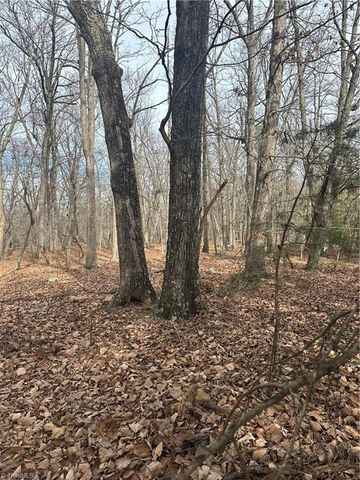 1527 Sierra Trace Road, Denton, NC 27239