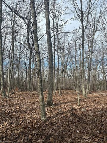 1527 Sierra Trace Road, Denton, NC 27239