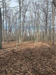 1527 Sierra Trace Road, Denton, NC 27239