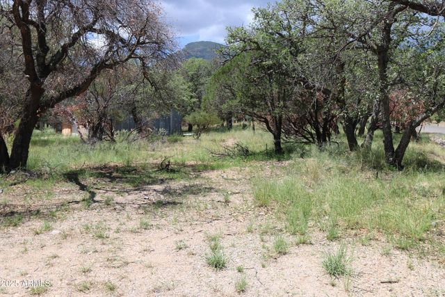 102 E RAMSEY CANYON Road, Hereford, AZ 85615